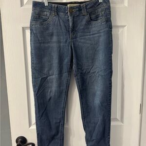 Democracy Medium Blue Skinny Jeans